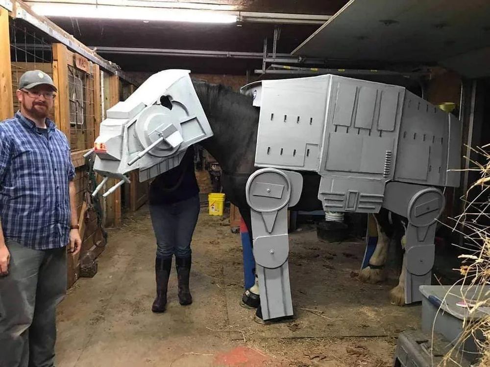 A horse with an AT-AT costume and a guy who looks half proud half disgusted with the horse