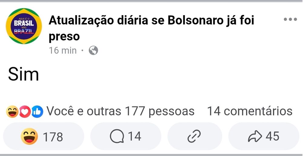 Página do Facebook "Atualização diária se Bolsonaro já foi preso"
Fez um post escrito: Sim
