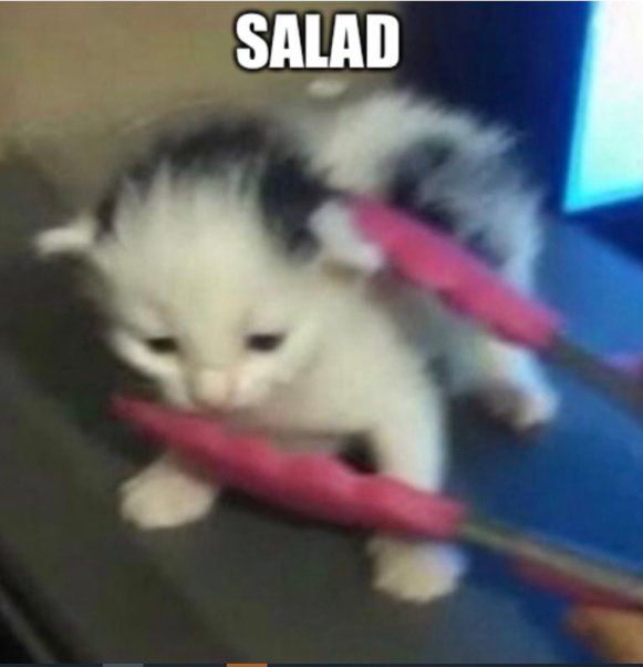 Comment image