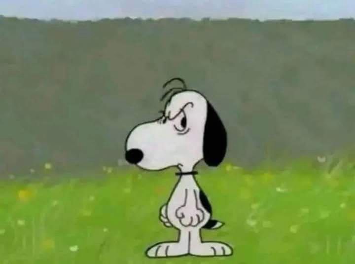 Snoopy from Charlie Brown frowning at something offscreen with his little dog fist clenched 