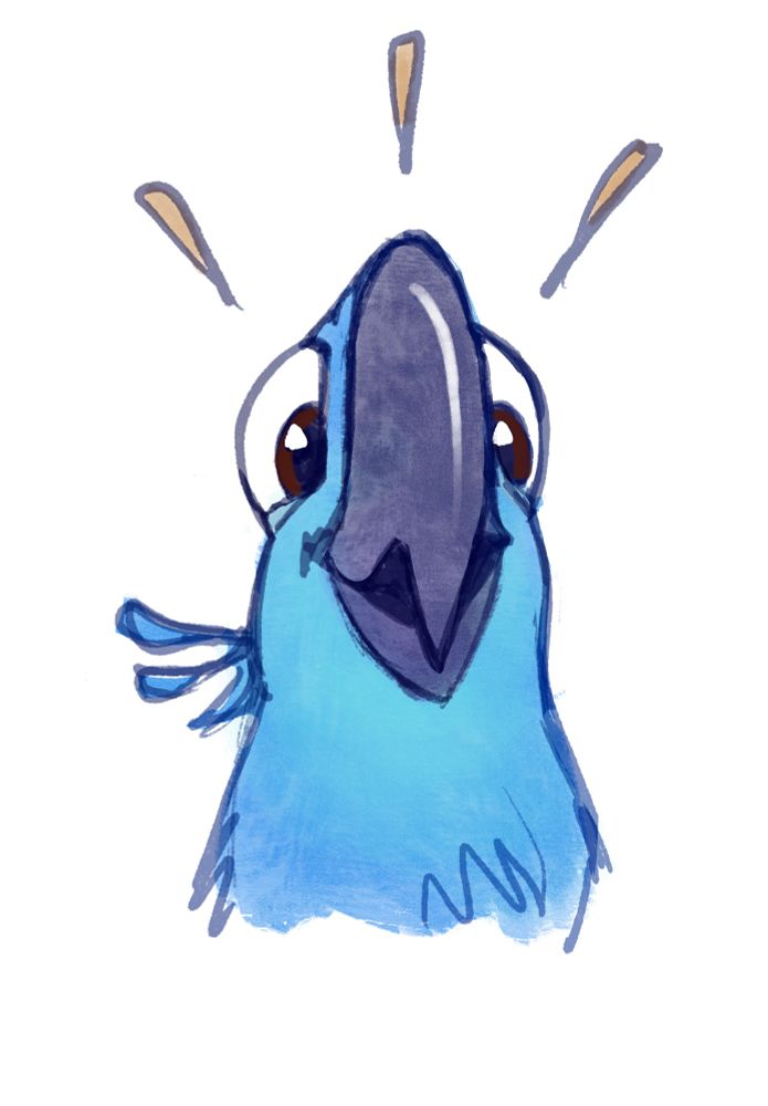 A sketch of Blu from Rio