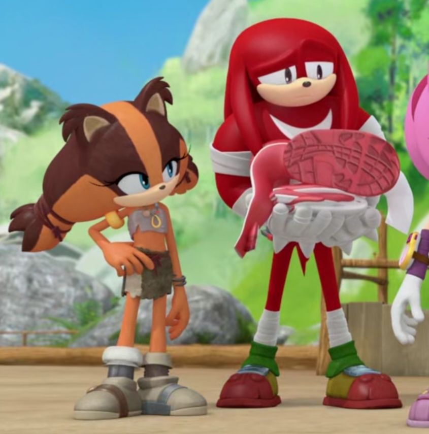 Screenshot of Sticks and Knuckles from Sonic Boom