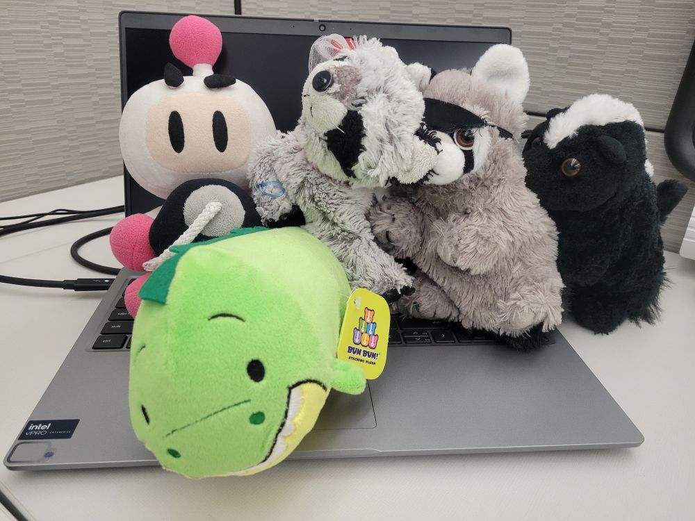 Croc on the work laptop