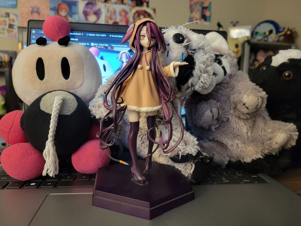 Shuvi on the home laptop