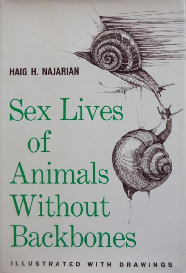 BOOK COVER: Haig H. Najarian, Sex Lives of Animals Without Backbones. Illustrated with drawings. Cover features illustration of snails about to get it on