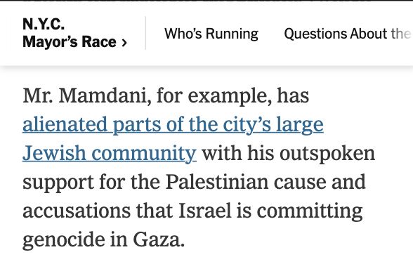 Mr. Mamdani, for example, has alienated parts of the city’s large Jewish community with his outspoken support for the Palestinian cause and accusations that Israel is committing genocide in Gaza.