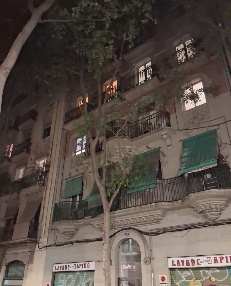 Night time street with nice spindly tree. 
