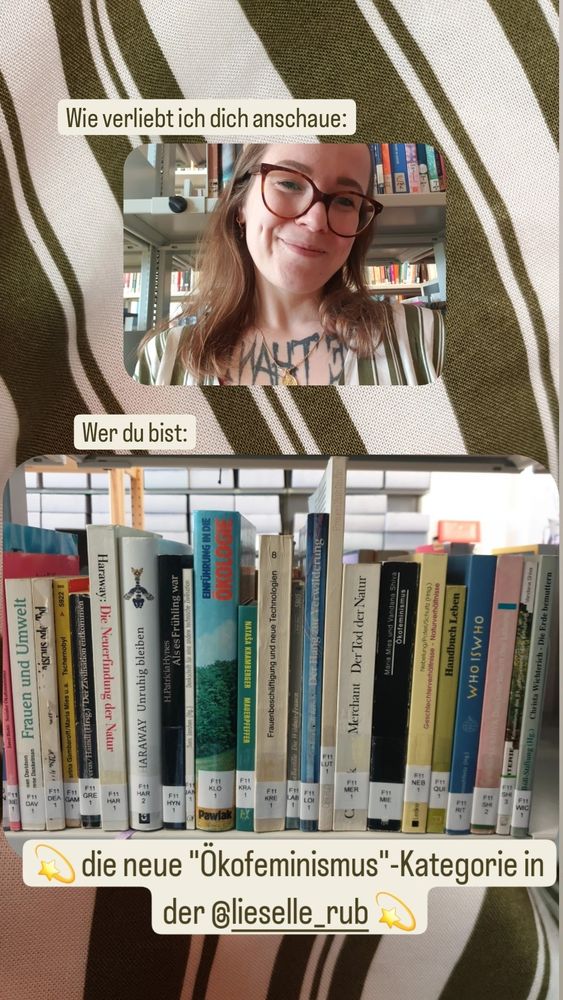 2geteiltes Format, oben ein Foto von mir wie ich gerührt schaue, darüber steht: "Wie verliebt ich dich anschaue", darunter ein Foto von einem halben Meter Regalfläche mit Büchern, dazu der Text: "Wer du bist: die neue Ökofeminismus-Kategorie in der LIESELLE"