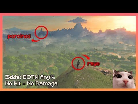 Zelda: Breath of the Wild Any% No Hit – No Damage