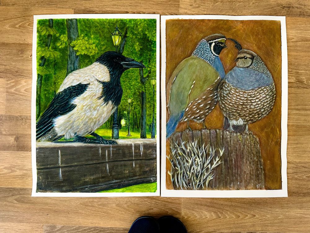 A takhle vypadá ptačí aristokracie - její jasnost Vrána šedá, královna Kyjeva,  a sir Křepel kalifornský s chotí - jako základ portrétové galerie tohoto léta ❤️😉