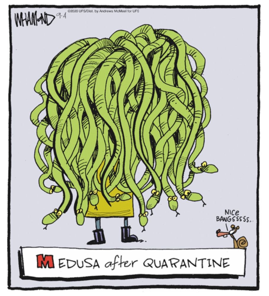 Titled ‘Medusa after quarantine’, a cartoon Medusa is shown with completely disheveled snakey hair. 