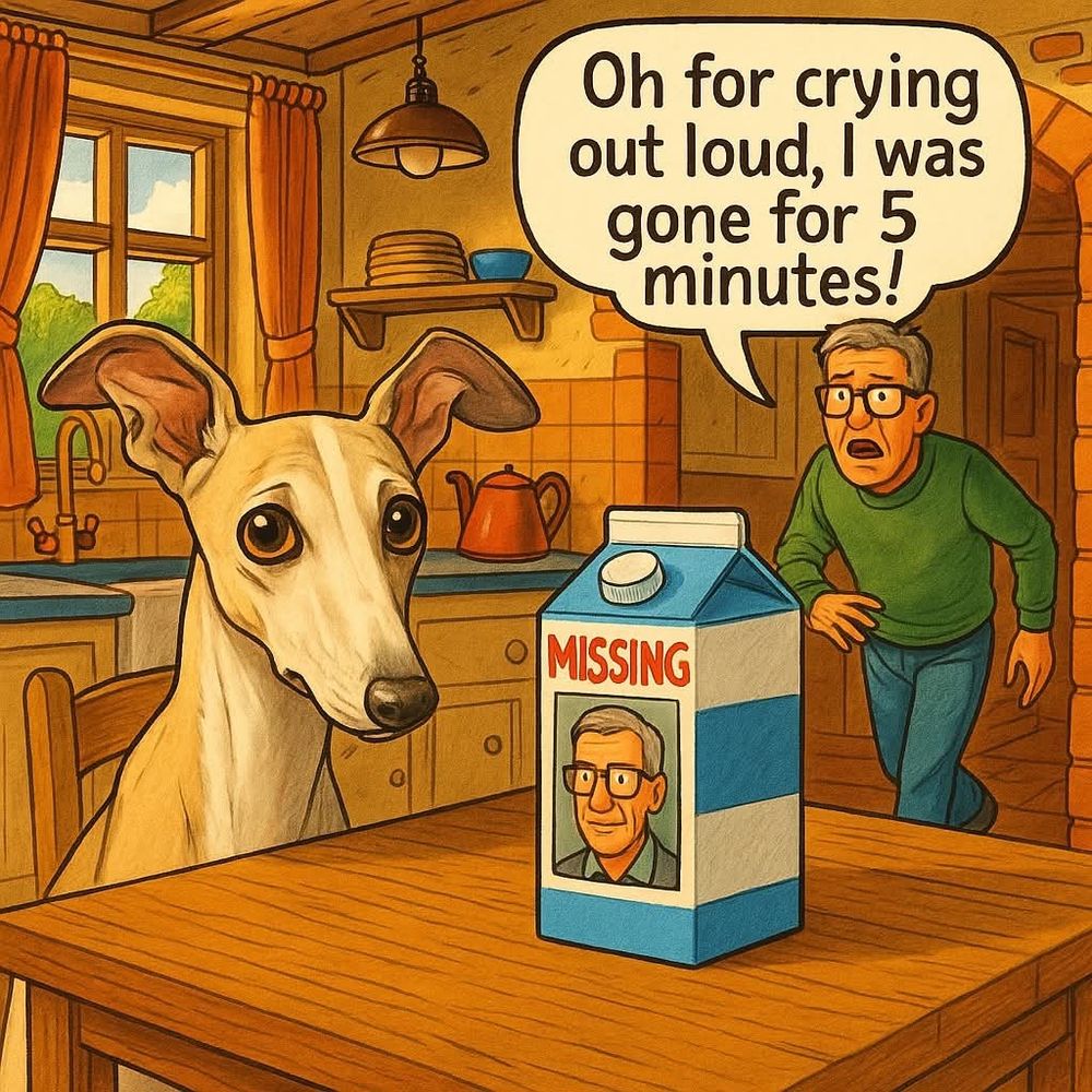Sad-looking greyhound looks at the “missing” picture of her human on the milk carton on the counter. The human walks in, saying, “Oh for crying out loud, I was gone for five minutes!”