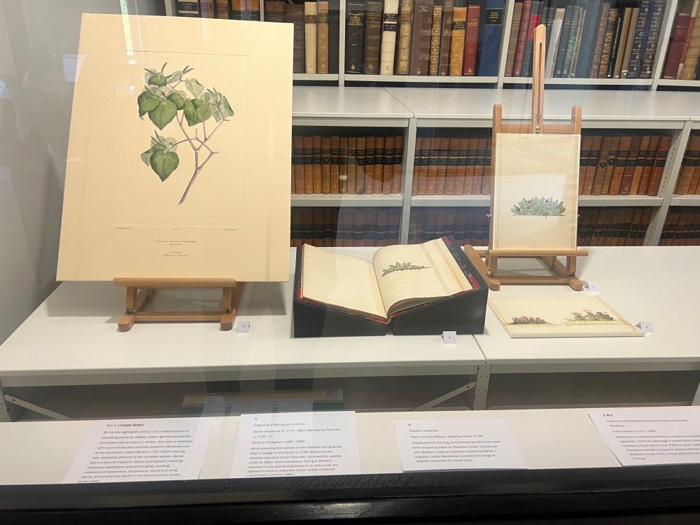 Botany exhibition inside Kew Gardens behind a large glass with larger and smaller images, books, and text describing the history of British plant collecting practices from the 18th to 19th century