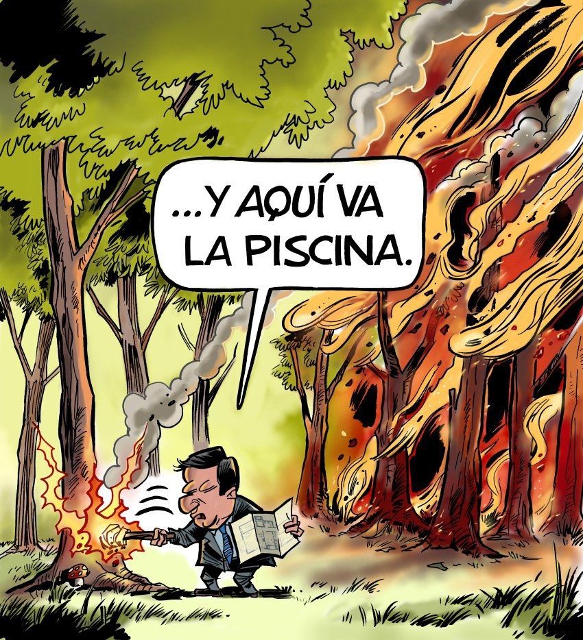 ¿¿¿¿ Incendios intencionadoooss ????