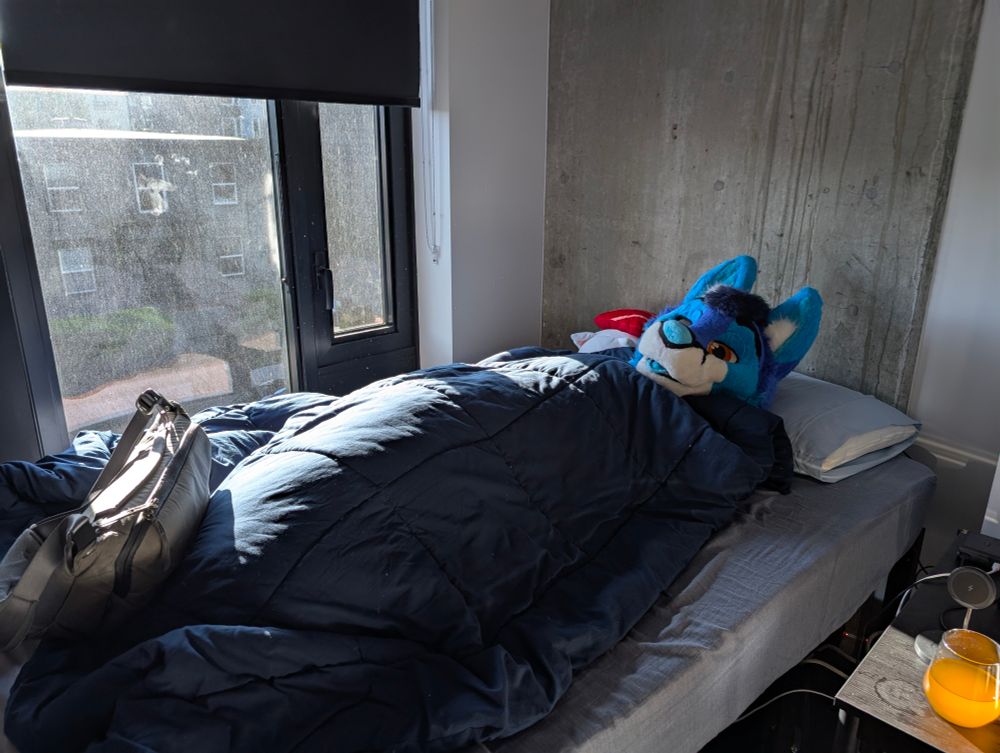 blue fox in bed under the sheets :3