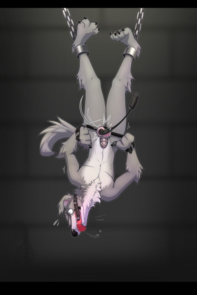taffy the borzoi hanging by his ankles while his balls are getting whupped
