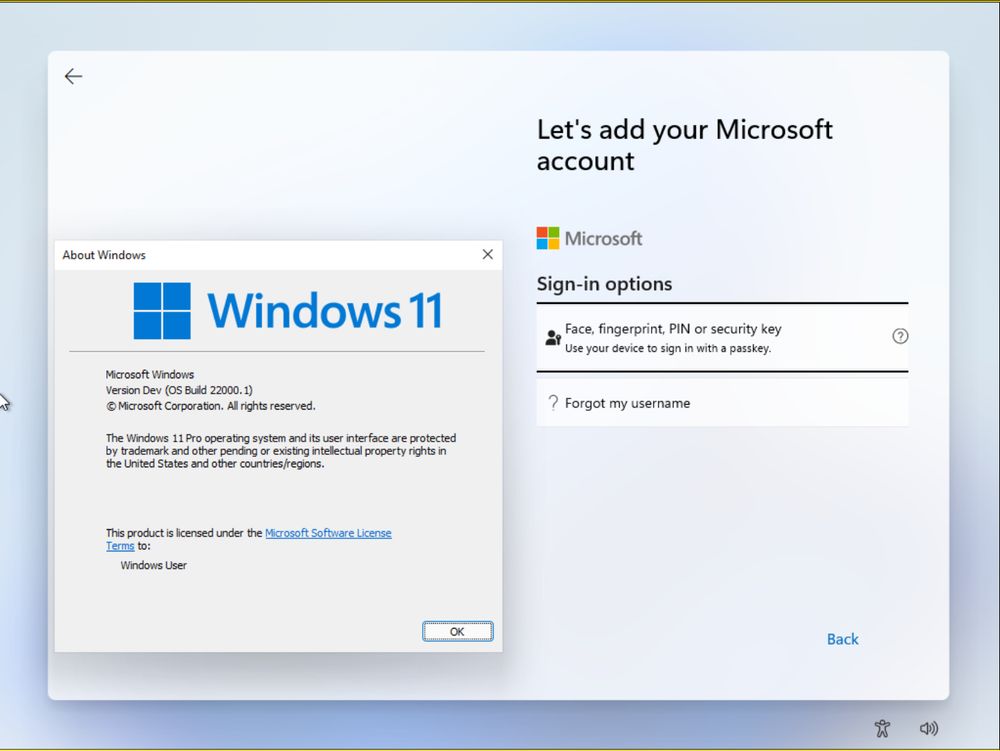 Windows 11 Pro RTM Microsoft Account sign-in options, no "Offline account" option