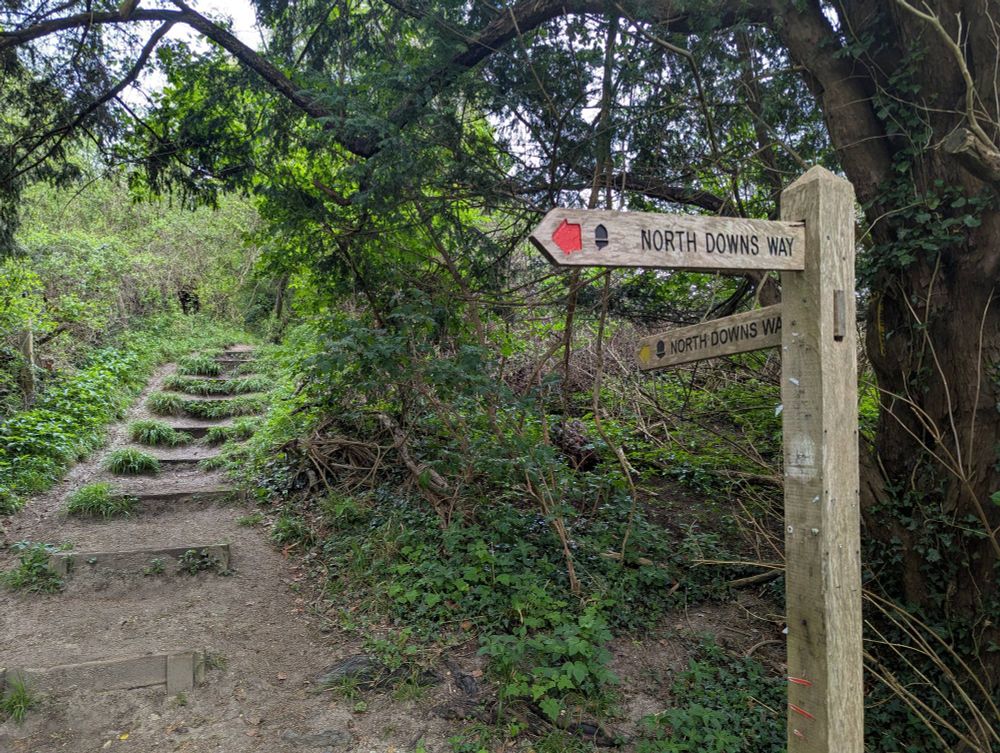 A wooden signpost with North Downs Way written on it. Steps lead up the hill into the woods