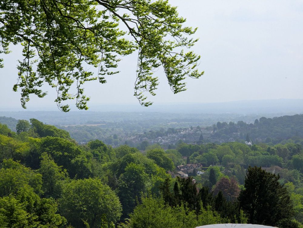 Zoomed in view of the previous image, some houses scattered across the tree lined valley