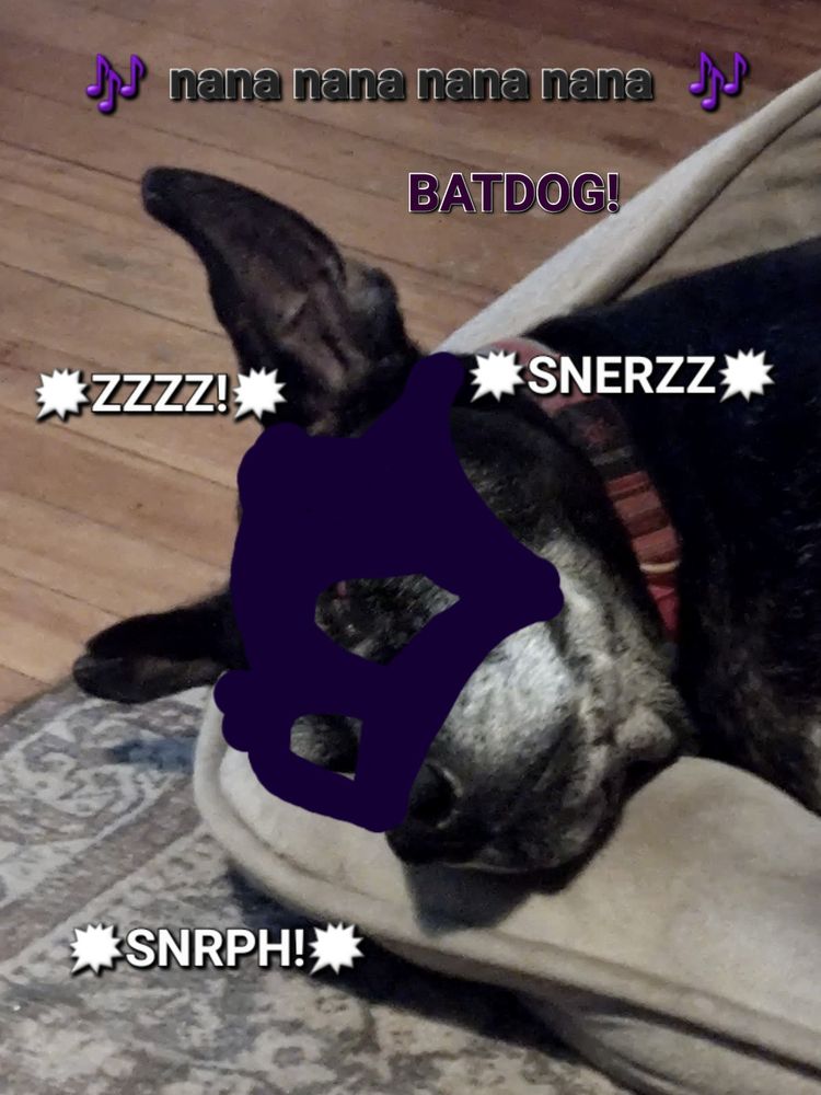 Harold, a black lab mix, is sleeping in a position that makes him resemble Bat Dog. The photo has a mask drawn on, is captioned, "nana nana nana nana bat dog" with snoring sounds next to emojis reminiscent of the comic book's *bam* *pow* bubbles.