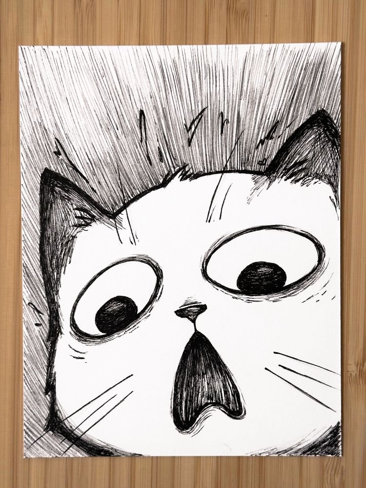 Black and white ink drawing of a close up face of a scaredy cat expression full of pure panic.