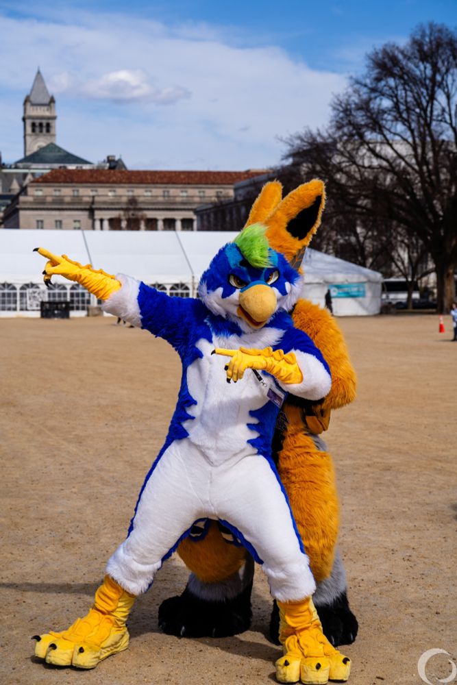 Bird fursuit in DC