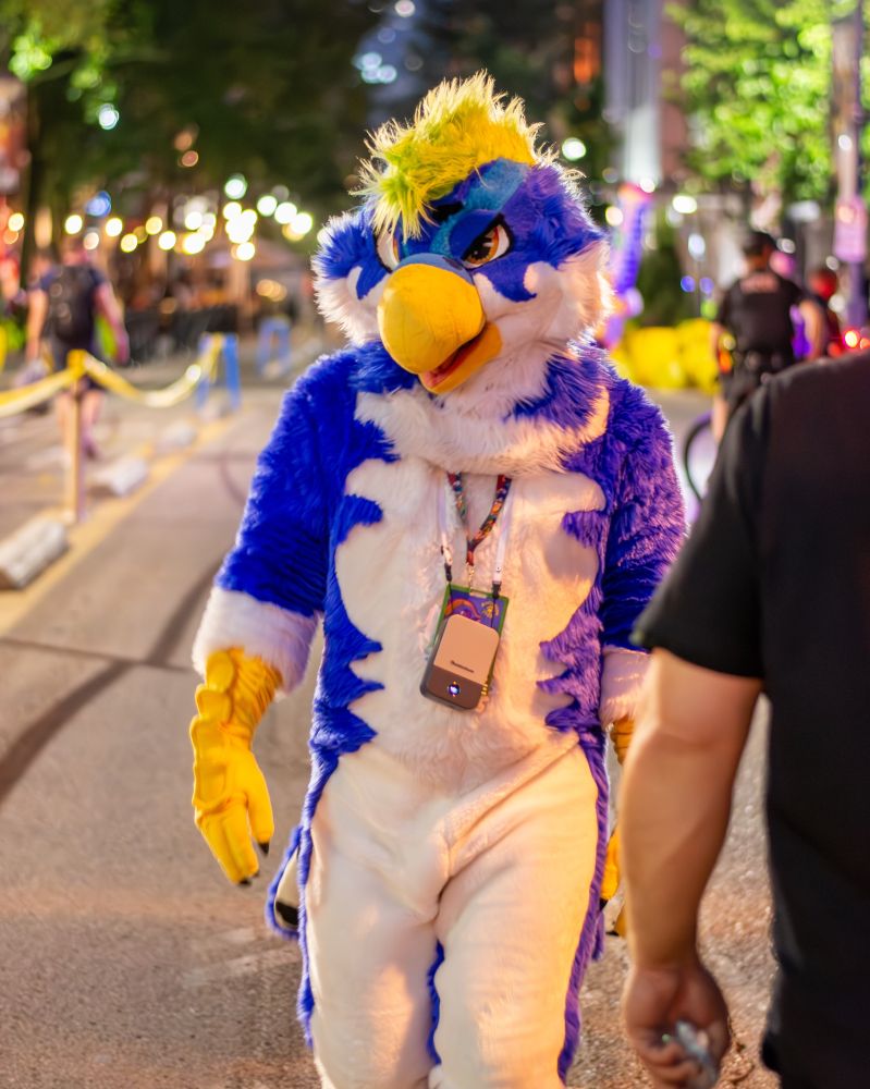 bird fursuit