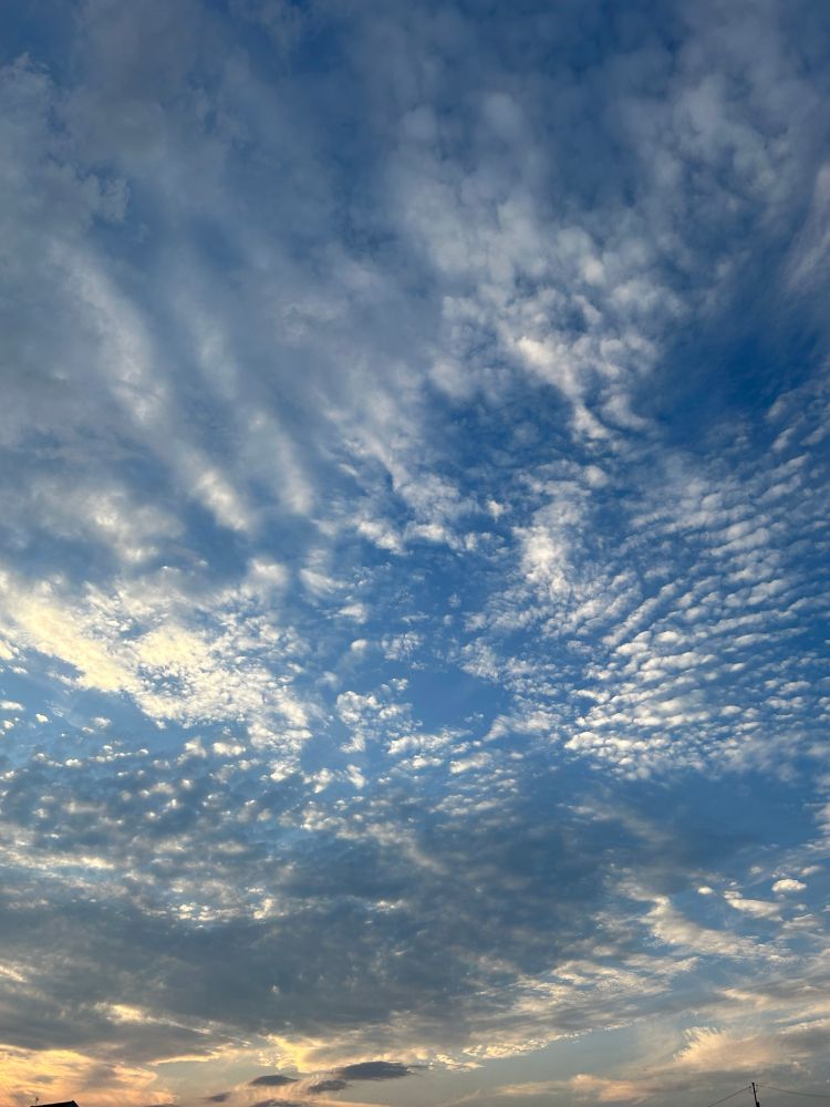 空見上げたら素敵な夕焼けでございました。
本日もお疲れ様でした

