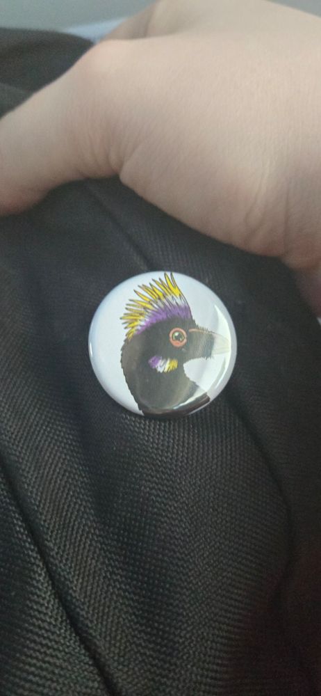 Pin of a non-avian dinosaur with a nonbinary flag colored feather crest.