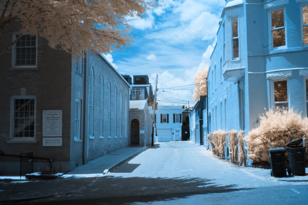 An alleyway with overhanging trees shot in 590nm infrared, giving the appearance of golden foliage.