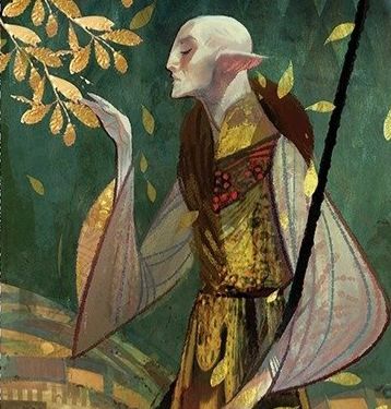 Solas' romanced tarot card from dragon age inquisition