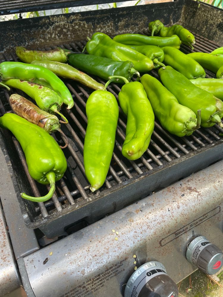 Hatch green peppers roasting on the grill.