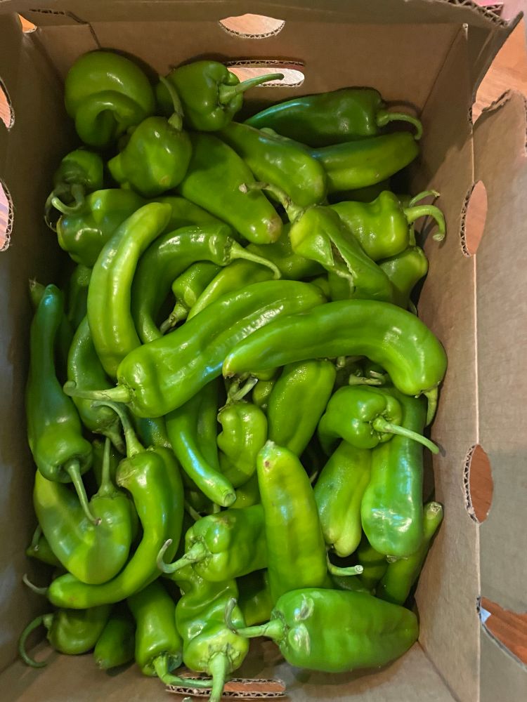 Yum! Green chiles!