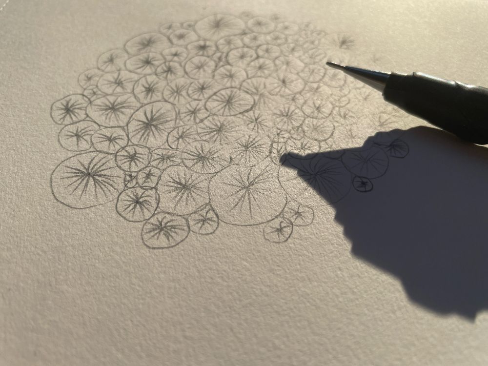 My drawing in pencil inspired by a piece of coral on the beach. My pentel pencil casts a long shadow.
