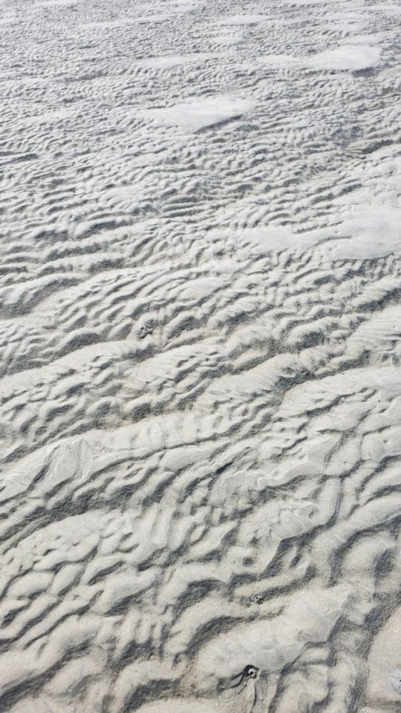 Sand on the shore.