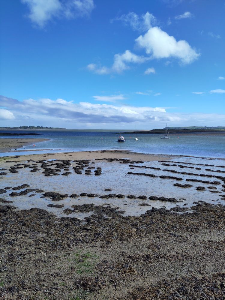 View of the sea and boats at anchor in Dungarvan