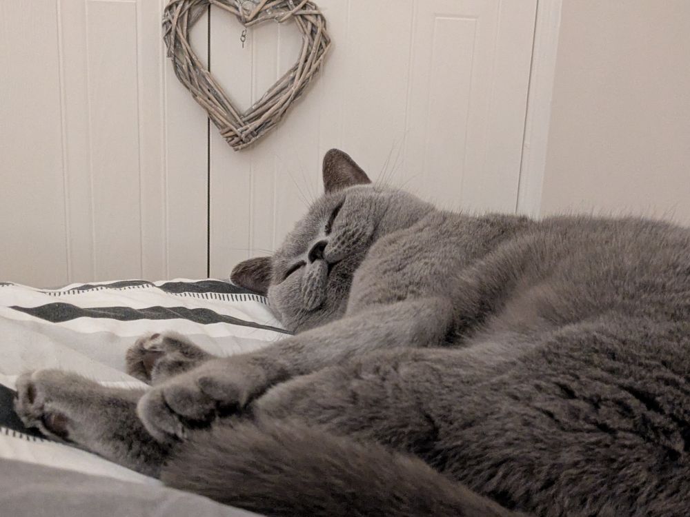 A grey cat lies, asleep, on a stripped (white, black, grey) duvet cover. The cat has a contented look on her face. In the background are a pair of wardrobe doors (white), from which hangs a grey heart emblem.