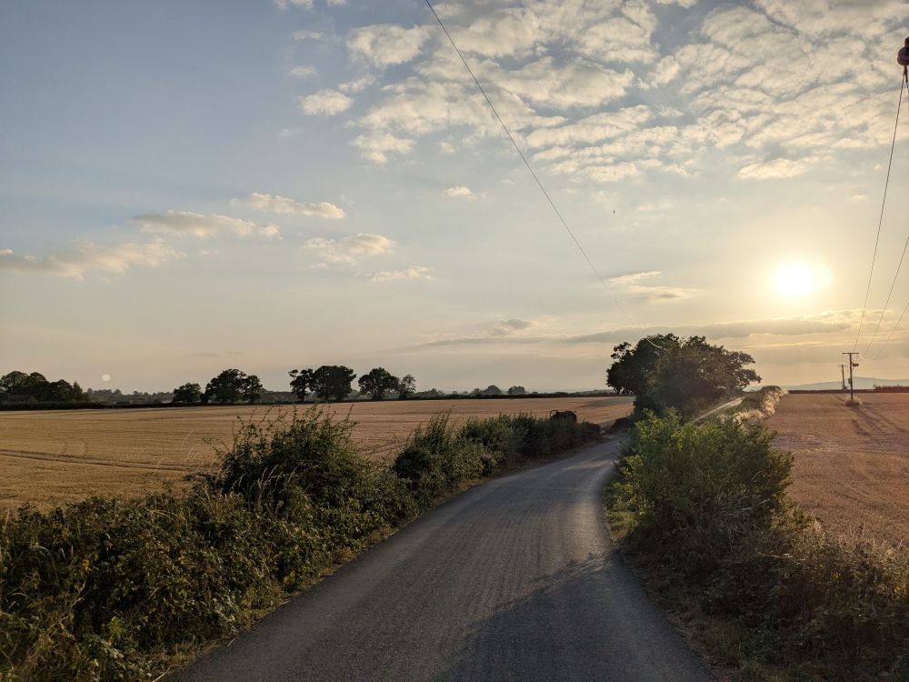 A rural lane in Worcestershire, gently curving to the right. In the distance is the evening sun, not far above the horizon. There are hedges on either side of the lane, and fields on the other sides of those.
