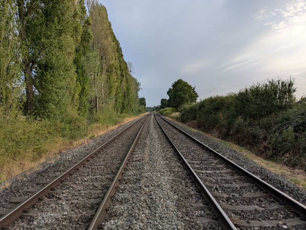 A dual track of railway lines. To the left is a line of tall trees; to the right some much lower shrubbery. Far in the distance, a green signal for trains.
