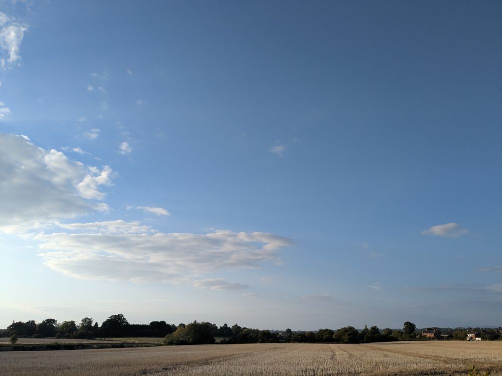 A field of cut wheat, with trees in the distance, under a mostly clear evening sky.