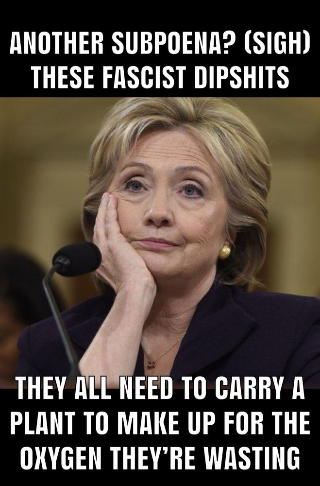 ANOTHER SUBPOENA? (SIGH) THESE FASCIST DIPSHITS
THEY ALL NEED TO CARRY A PLANT TO MAKE UP FOR THE OXYGEN THEY'RE WASTING (Pic of HRC