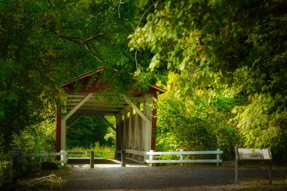 Sony a6400, Sony E 70-350mm telephoto lens, f.4.5, 1/1600s, ISO-1250, 70mm. Remember the dog pic I posted last week? He was wearing snazzy a shark fin outfit. He and his owner were playing in the river below this bridge. The horse trail goes off to the left before you reach the bridge, and there's a lovely walking trail on the right, just past the sign. Terrific place to visit! 