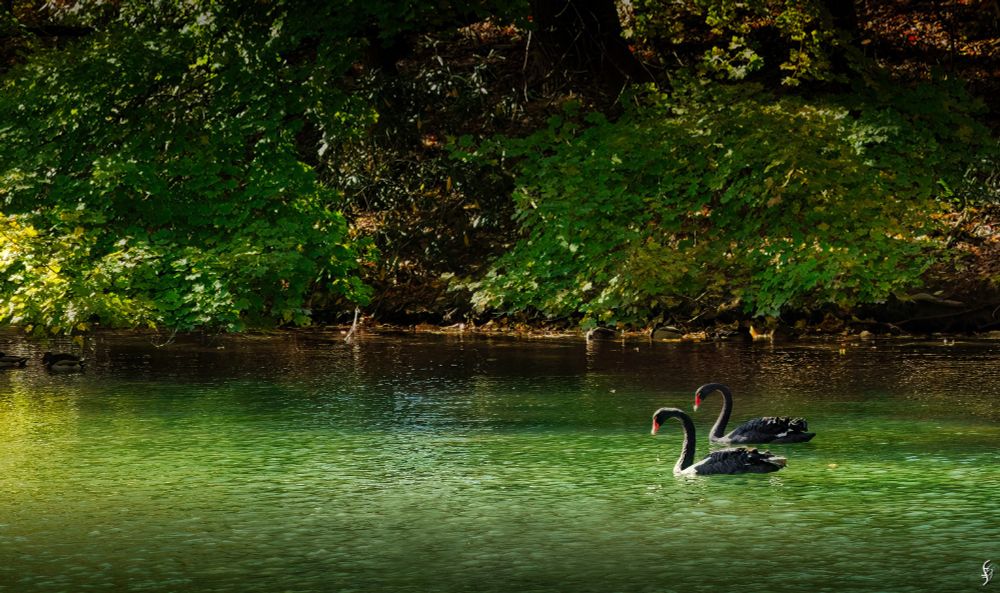 Sony a6400, Sigma 18-50mm lens, f/2.8, 1/1250s, 50mm
Processed in Luminar Neo with an assist from Topaz Denoise. 