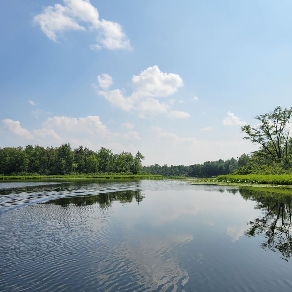 A small lake with a natural shoreline under a blue sky. 