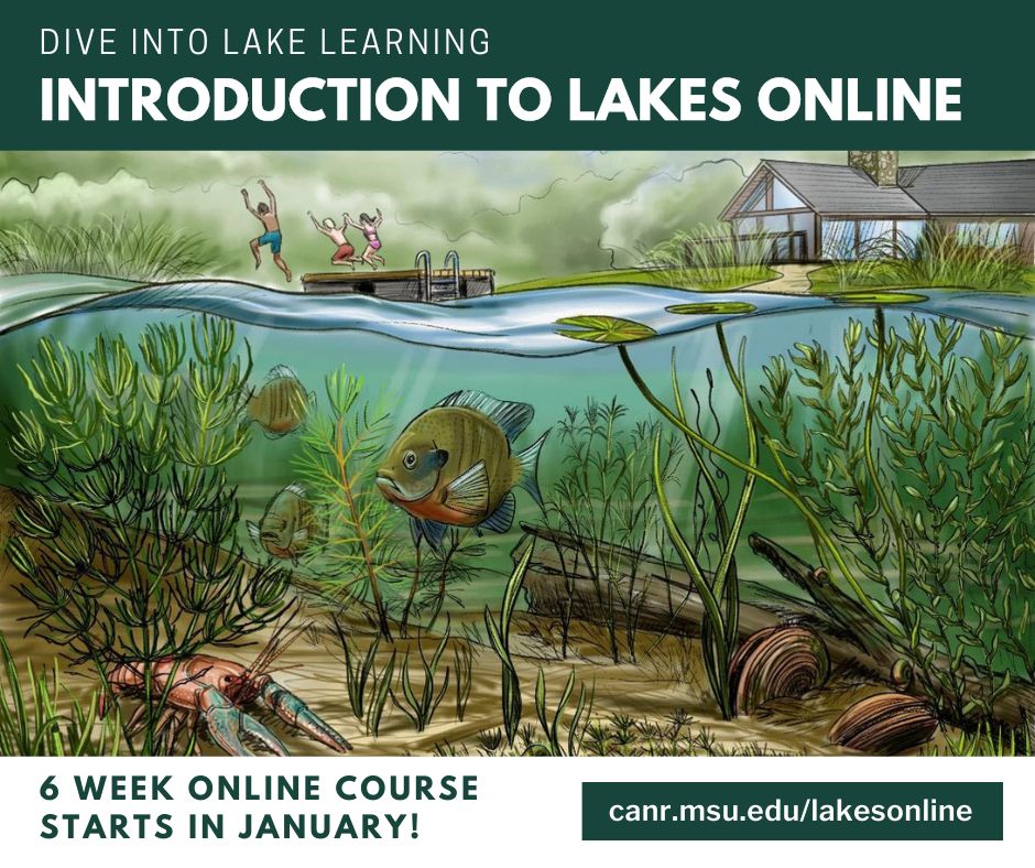 Registration for the award-winning Michigan State University Extension Introduction to Lakes Online course is open! This introductory six-week online class is designed for anyone interested in gaining a greater appreciation for inland lakes including concerned residents, decision makers, local leaders, and lakefront property owners. Course instructors include faculty from MSU Extension and state agency personnel.

 

The course covers a variety of topics including lake ecology, watershed management, shoreline protection, aquatic plants, Michigan water law, and community engagement. These topics are explored online through video lectures, interactive activities, and discussion forums. Additional resources are also provided for those looking to dive deeper. Participants communicate with each other and instructors through lively discussion forums and biweekly Ask-an-Expert webinars which include guests from organizations such as the Michigan Department of Natural Resources and the Michigan Department of Environment, Great Lakes, and Energy.

 

Registration is open now through January 28, 2025. The cost of the course is $115 per person. Register by January 6 for an early bird price of $95 per person. Scholarships are available. Current individual members of the Michigan Lakes and Streams Association are eligible to receive a $95 reimbursement upon successful completion of the course.

 

A certificate of completion is awarded to those who complete the class. Participants also can receive continuing education credits including 16 Michigan Department of Agriculture and Rural Development Pesticide Applicator Re-Certification credits (8 commercial core and 8 aquatic) and educational hours in the MSU Extension Master Gardener, Master Citizen Planner, and Michigan Naturalist programs. Learn more and register at www.canr.msu.edu/lakesonline.