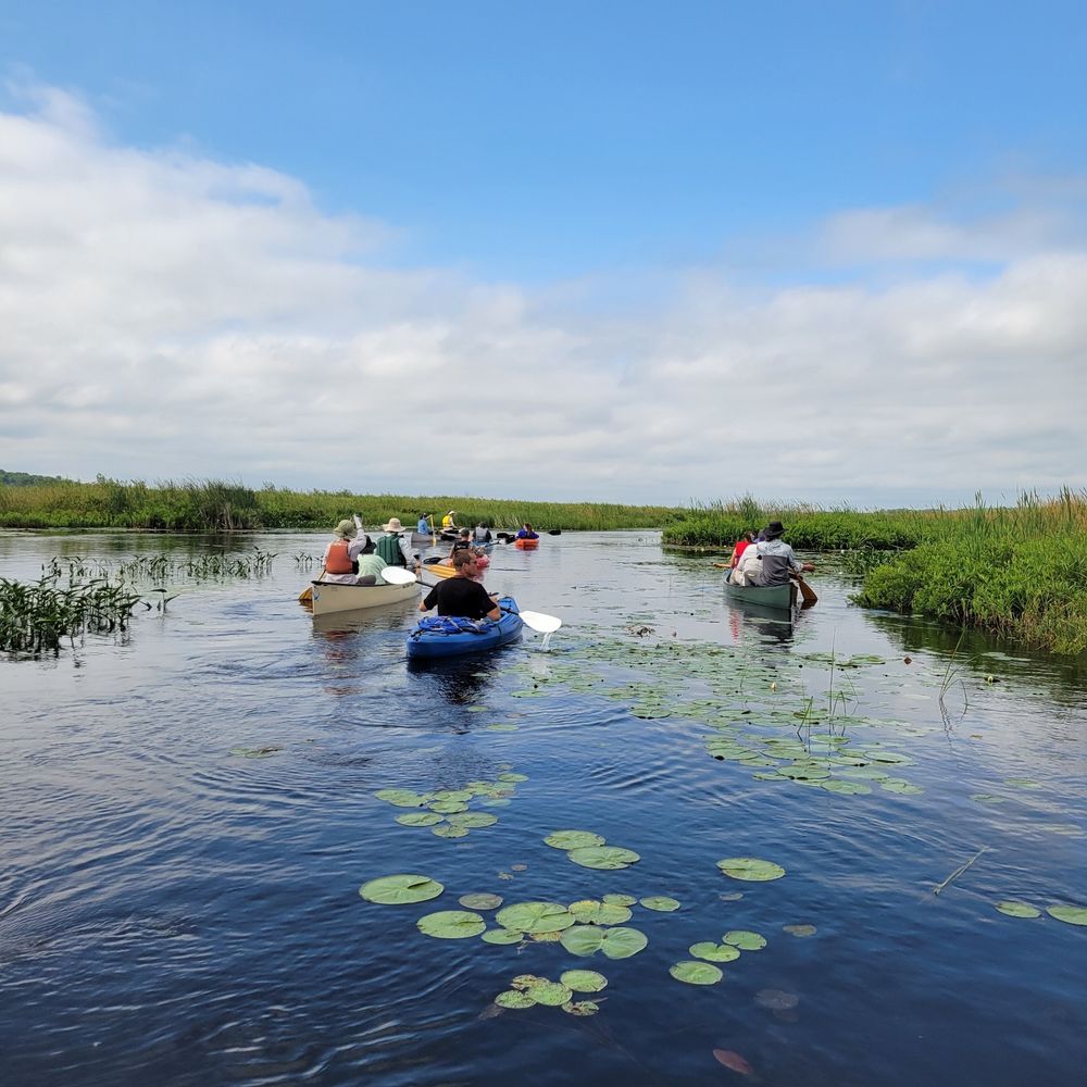 Our intrepid crew of paddling botanists heading out among abundant plant life under a blue sky with fluffy white clouds. 