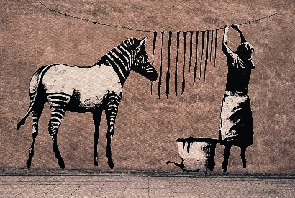 Auf einer Häuserfassade ein Graffiti.
Ein Zebra, dessen Leib weiß ist. Denn eine Frau wäscht einzelne Steifen dieses Tiers und hängt diese auf eine Wäscheleine.