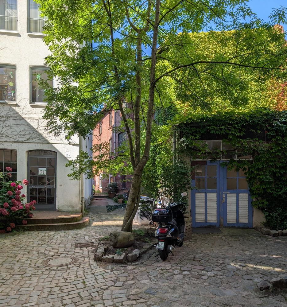 Ein Hof, gepflastert mit Katzenköpfen.
Rechts ein blaues Garagentor.
Links ein Gebäude mit Hortensienbusch.
Mittig ein Baum.
Blauer Himmel.
Die Sonne wirft schöne Schatten.