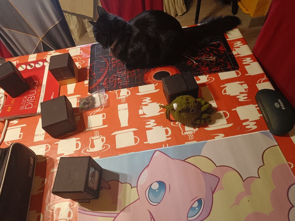 Foto de una mesa con dos tapetes de Magic y varias cajas de mazos. Encima del tapete de enfrente está mi gata en modo pan bimbo