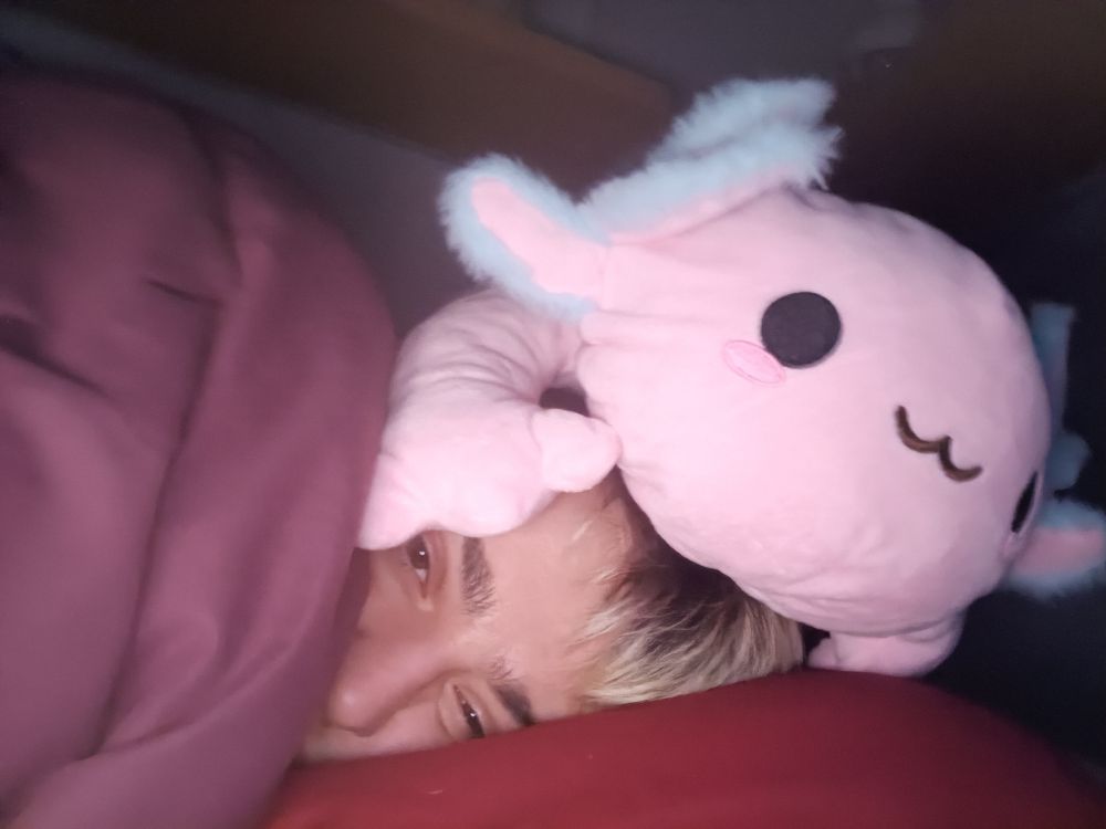 Media cara mía sobre la almohada, tapado con un edredón y un peluche de axolotl